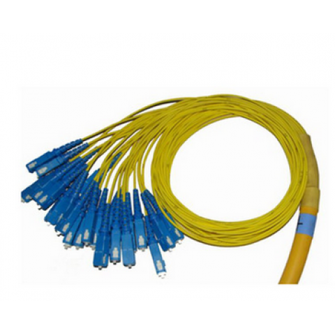 24 Cores Break-out Patch Cord
